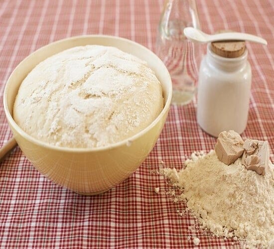 مكونات الخميرة الفورية